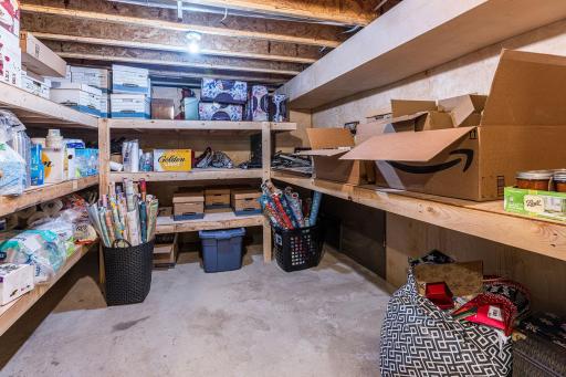 35666 Fawn Oaks Trail, Dent, MN 56528