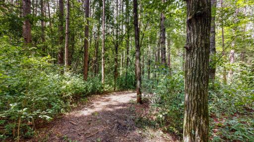 Trail