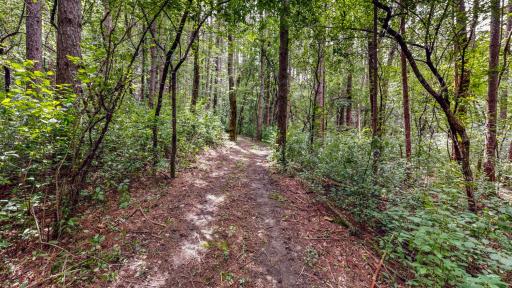 Trail