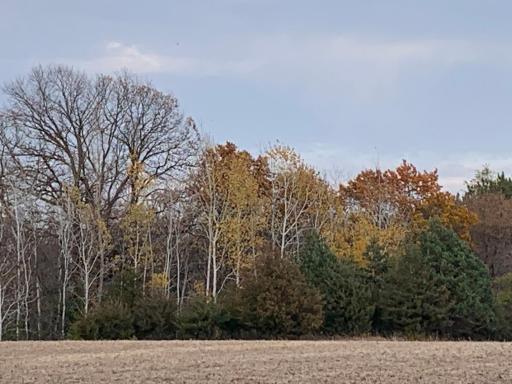 Fall