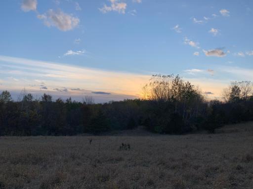 Sunset Meadow