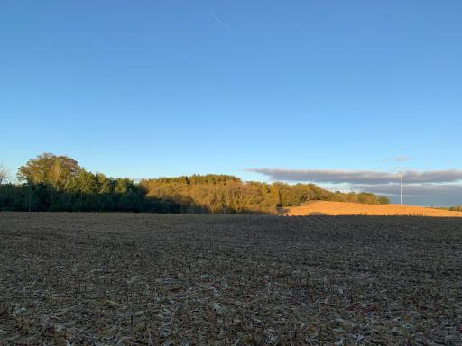 Fall
