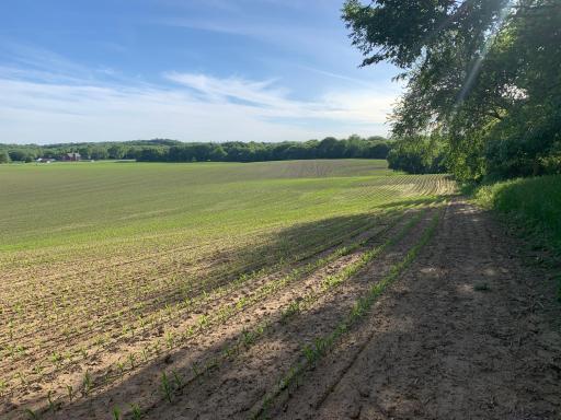 Spring Field