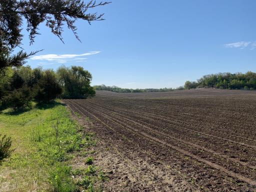 Field