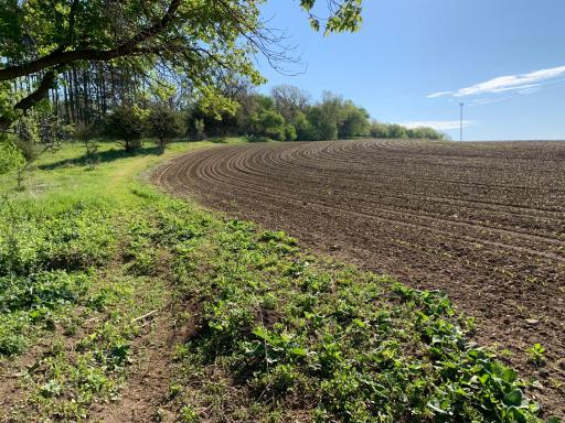 Field