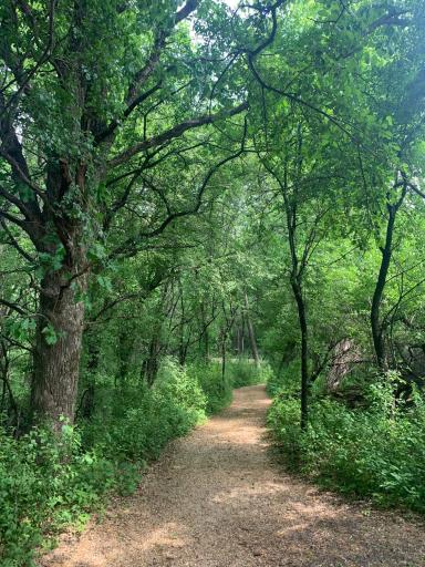 Summer Trail
