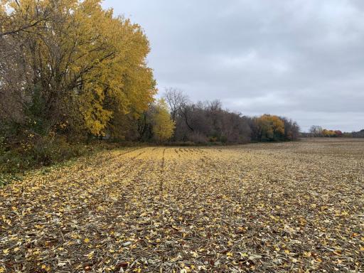 Fall
