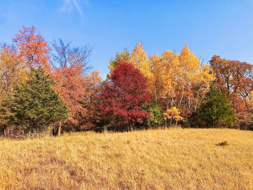 Fall