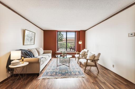 311 Pleasant Avenue, 205, Saint Paul, MN 55102