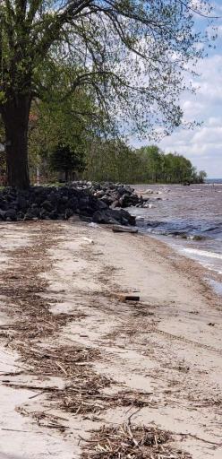 Graceton Beach Shoreline on Lake of the Woods