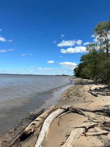 Graceton Beach Shoreline on Lake of the Woods