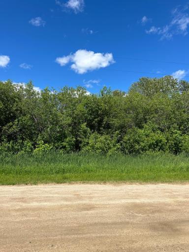 TBD Graceton Beach Road NW, Williams, MN 56686
