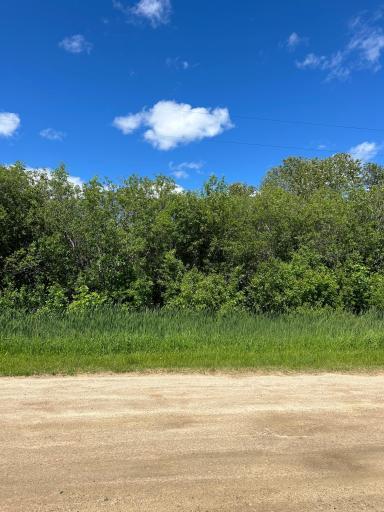 TBD Graceton Beach Road NW, Williams, MN 56686