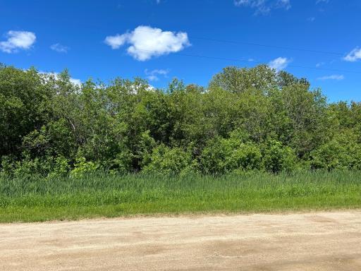 TBD Graceton Beach Road NW, Williams, MN 56686