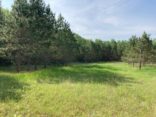 LOT 5 Fawn Lake Road, Crosslake, MN 56442