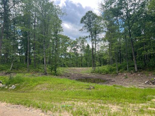 TBD Ridgeway Lane, Walker, MN 56484