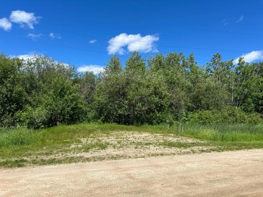 XXX Graceton Beach Road NW, Williams, MN 56686