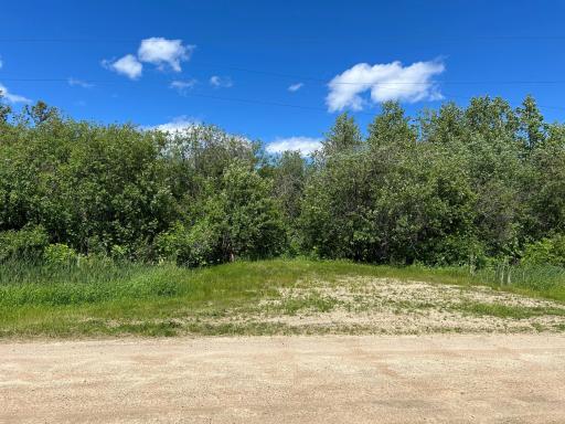XXX Graceton Beach Road NW, Williams, MN 56686