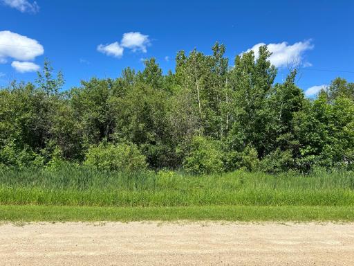 XXX Graceton Beach Road NW, Williams, MN 56686
