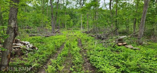 10xx US Hwy 8, Amery, WI 54001