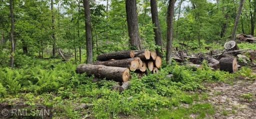 10xx US Hwy 8, Amery, WI 54001