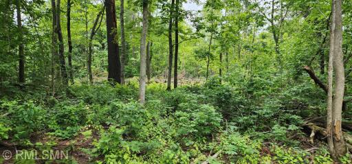 10xx US Hwy 8, Amery, WI 54001
