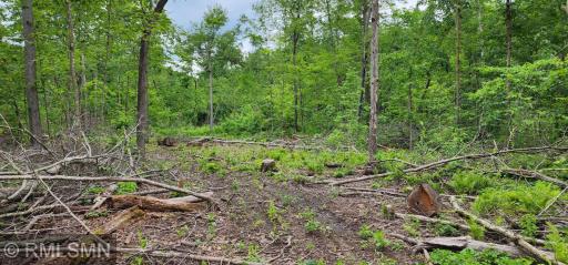 10xx US Hwy 8, Amery, WI 54001