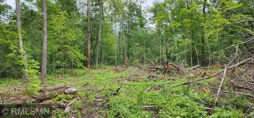 10xx US Hwy 8, Amery, WI 54001