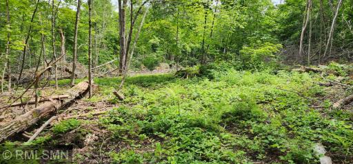 10xx US Hwy 8, Amery, WI 54001