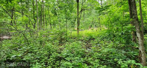 10xx US Hwy 8, Amery, WI 54001