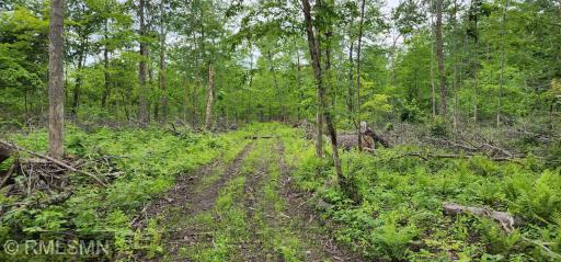 10xx US Hwy 8, Amery, WI 54001