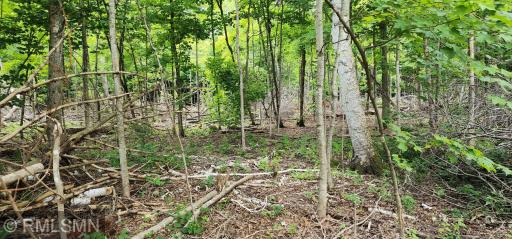 10xx US Hwy 8, Amery, WI 54001