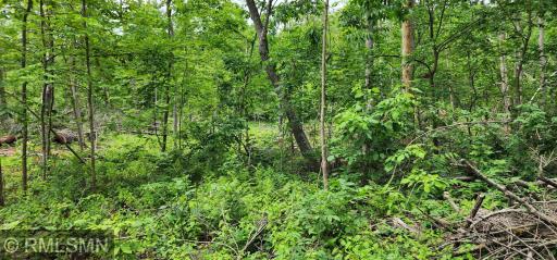 10xx US Hwy 8, Amery, WI 54001