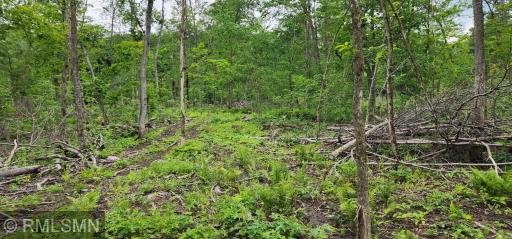 10xx US Hwy 8, Amery, WI 54001