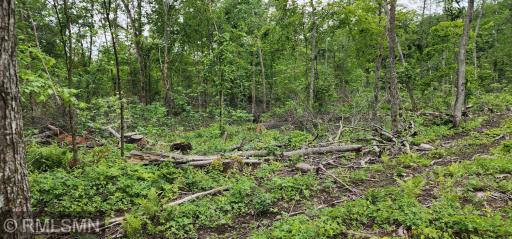 10xx US Hwy 8, Amery, WI 54001