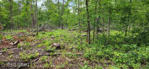 10xx US Hwy 8, Amery, WI 54001