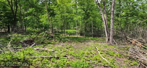 10xx US Hwy 8, Amery, WI 54001