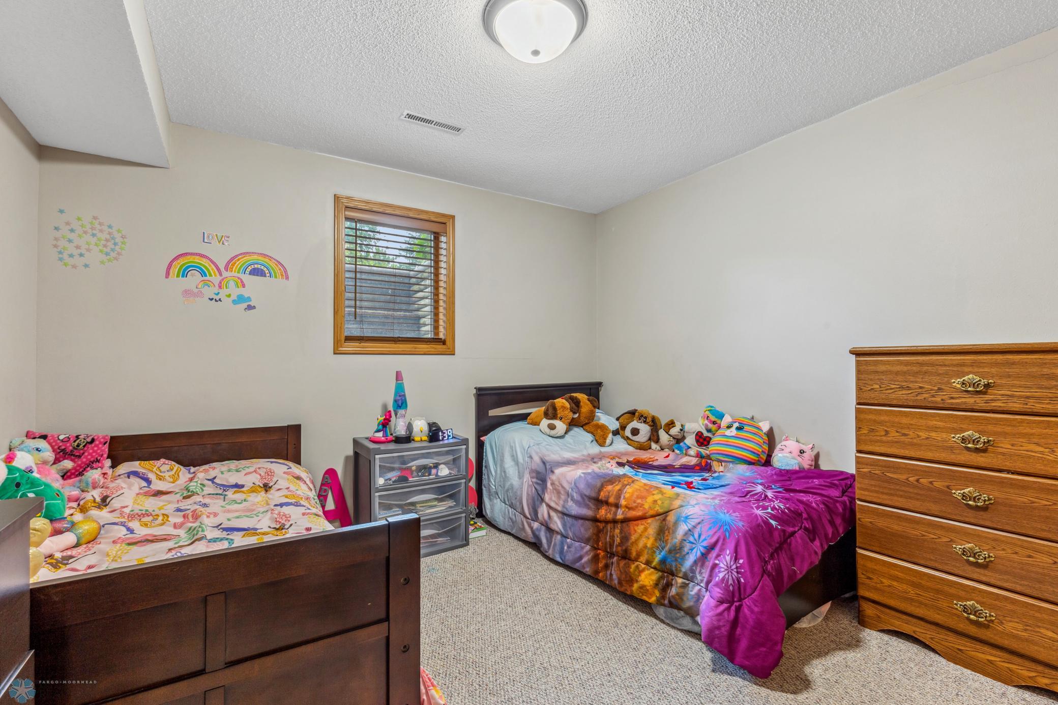Lower level 3rd Bedroom