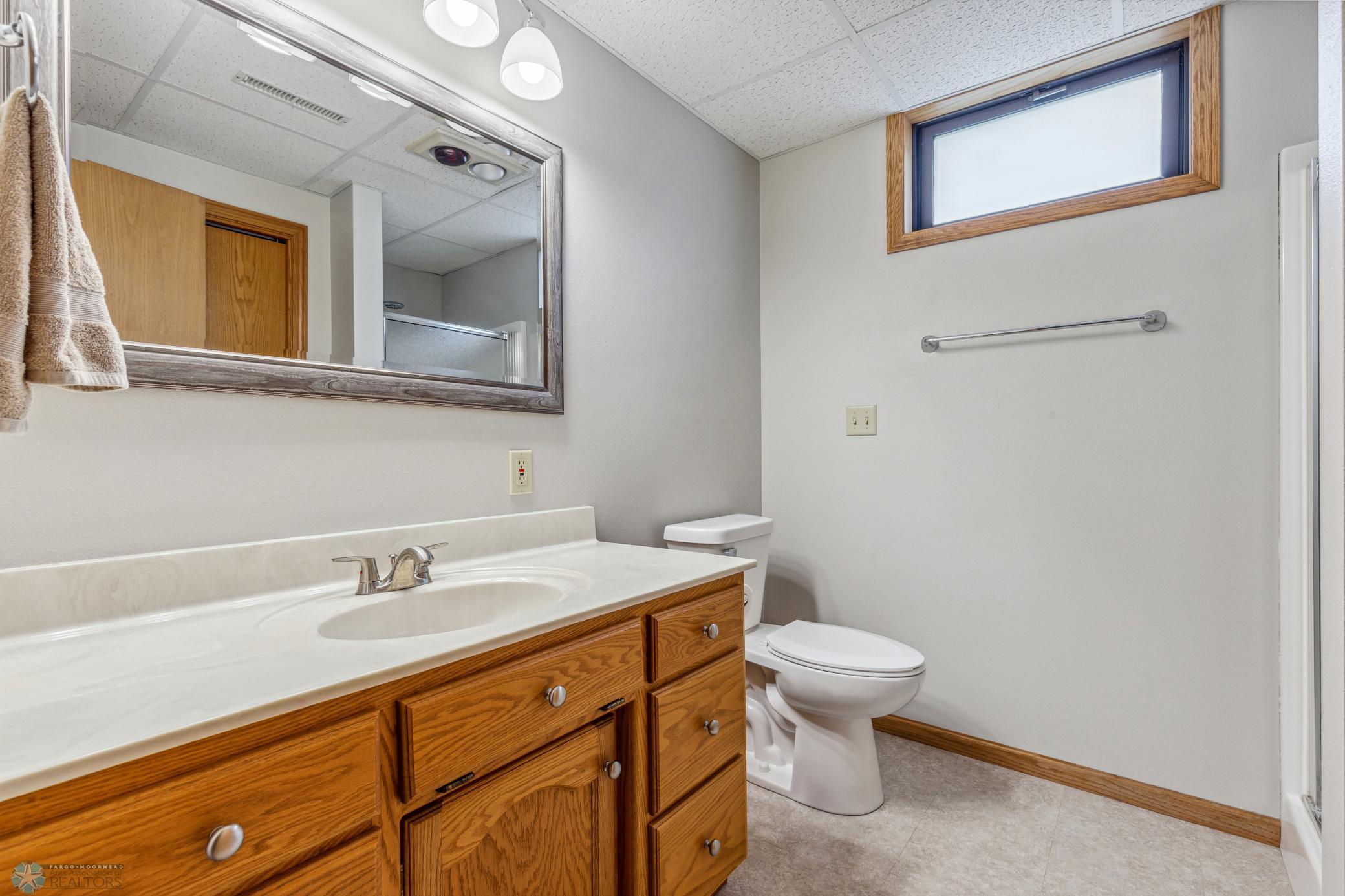 Lower level bathroom