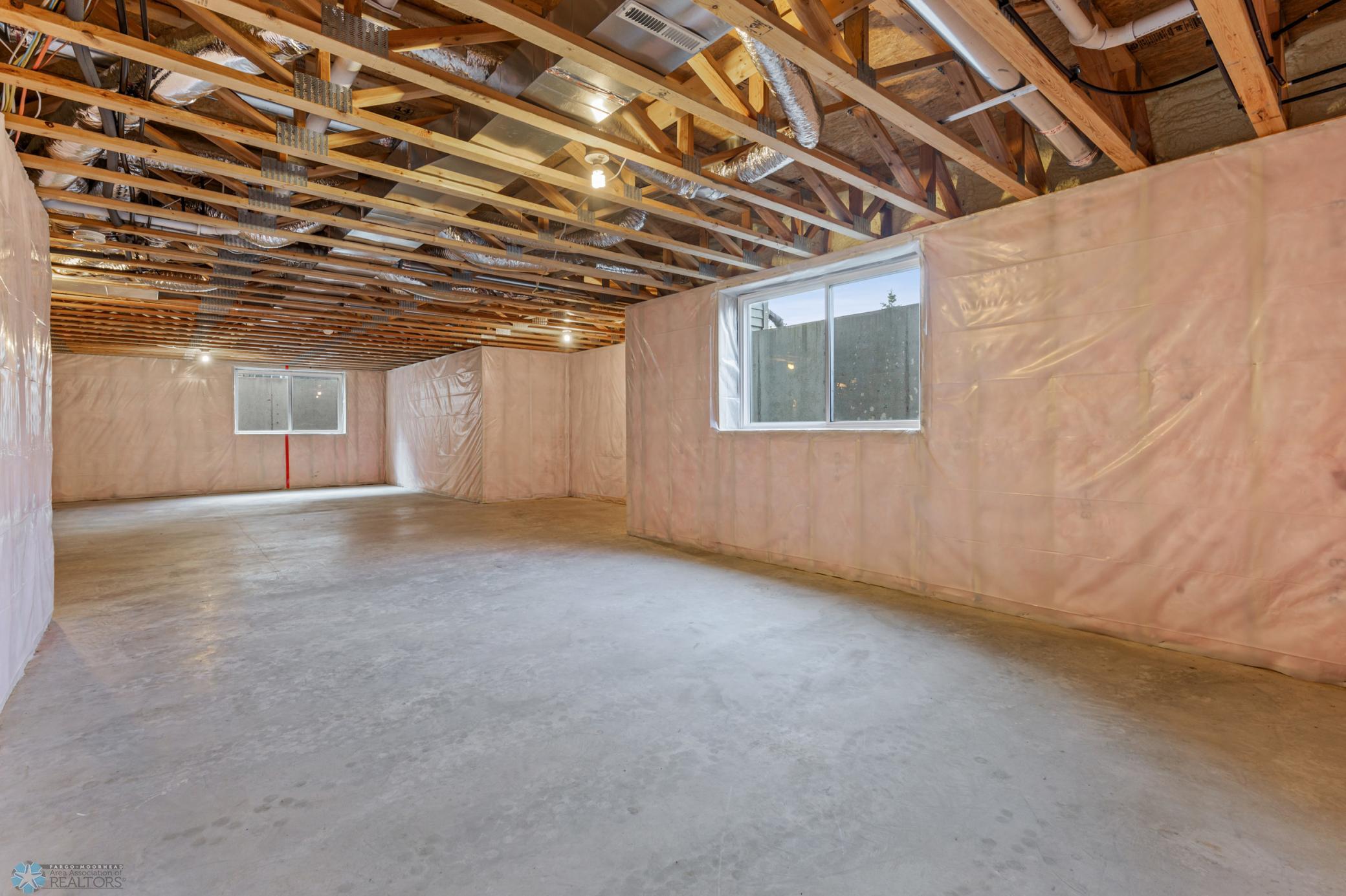 Unfinished Basement