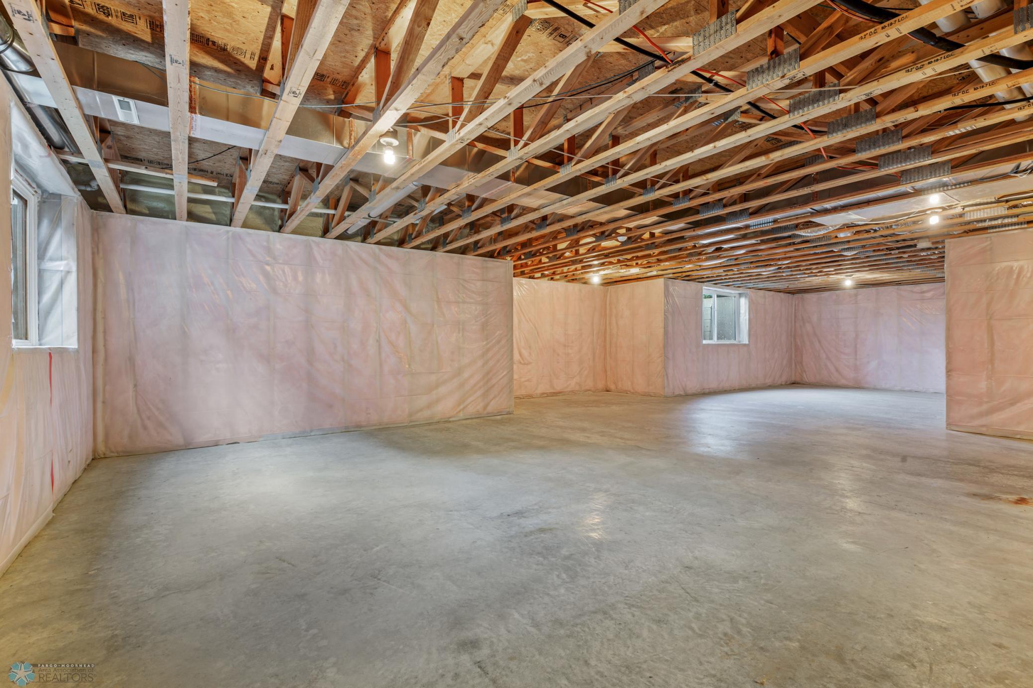 Unfinished Basement