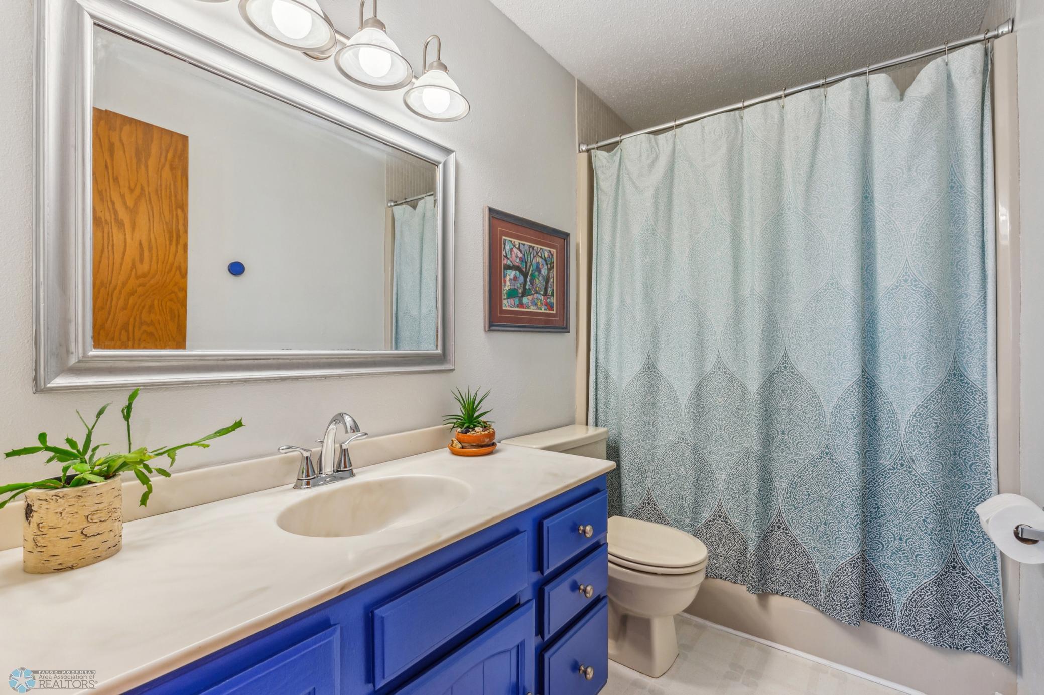 Lower Bathroom