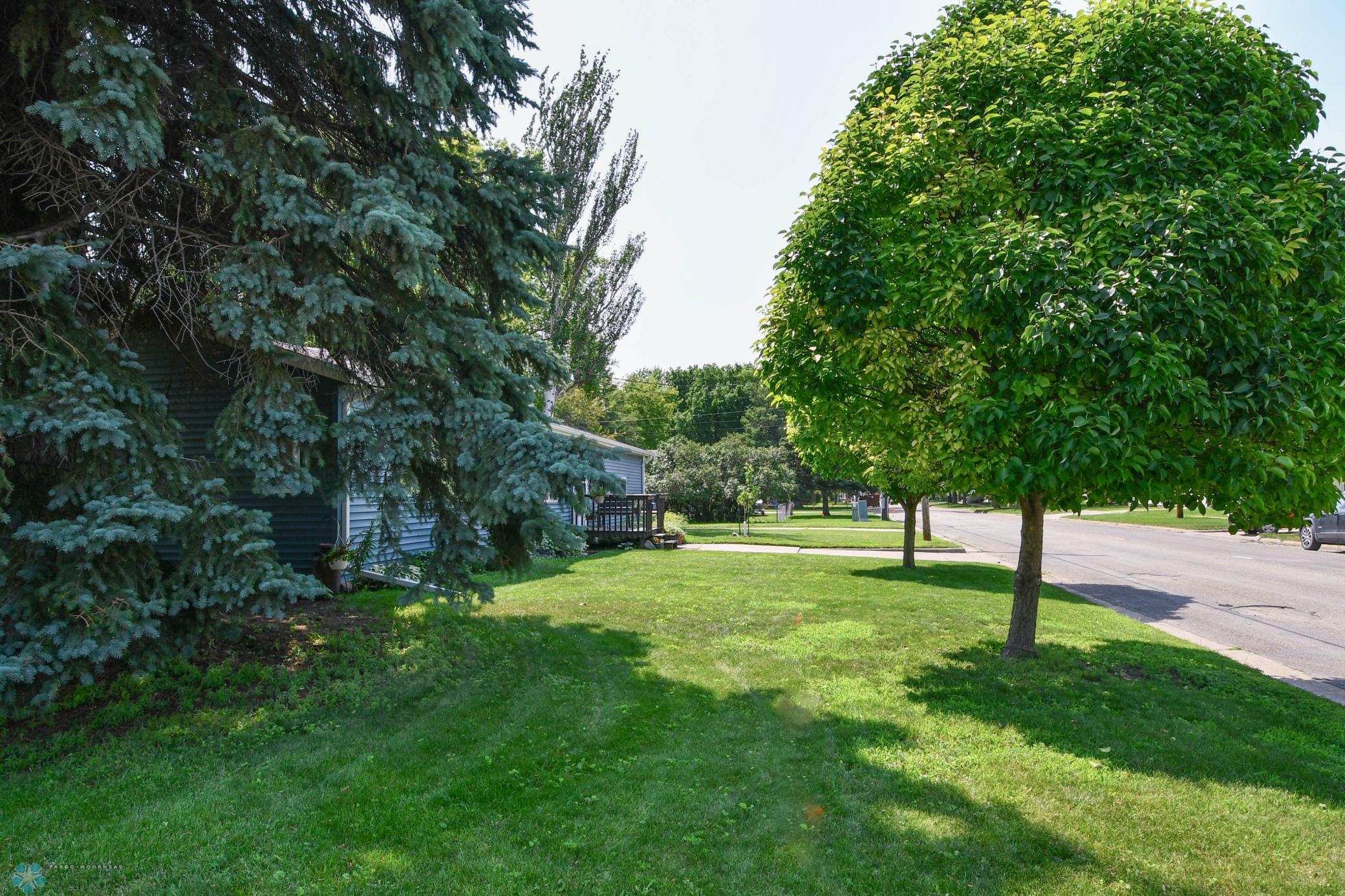 DSC_1046.jpg