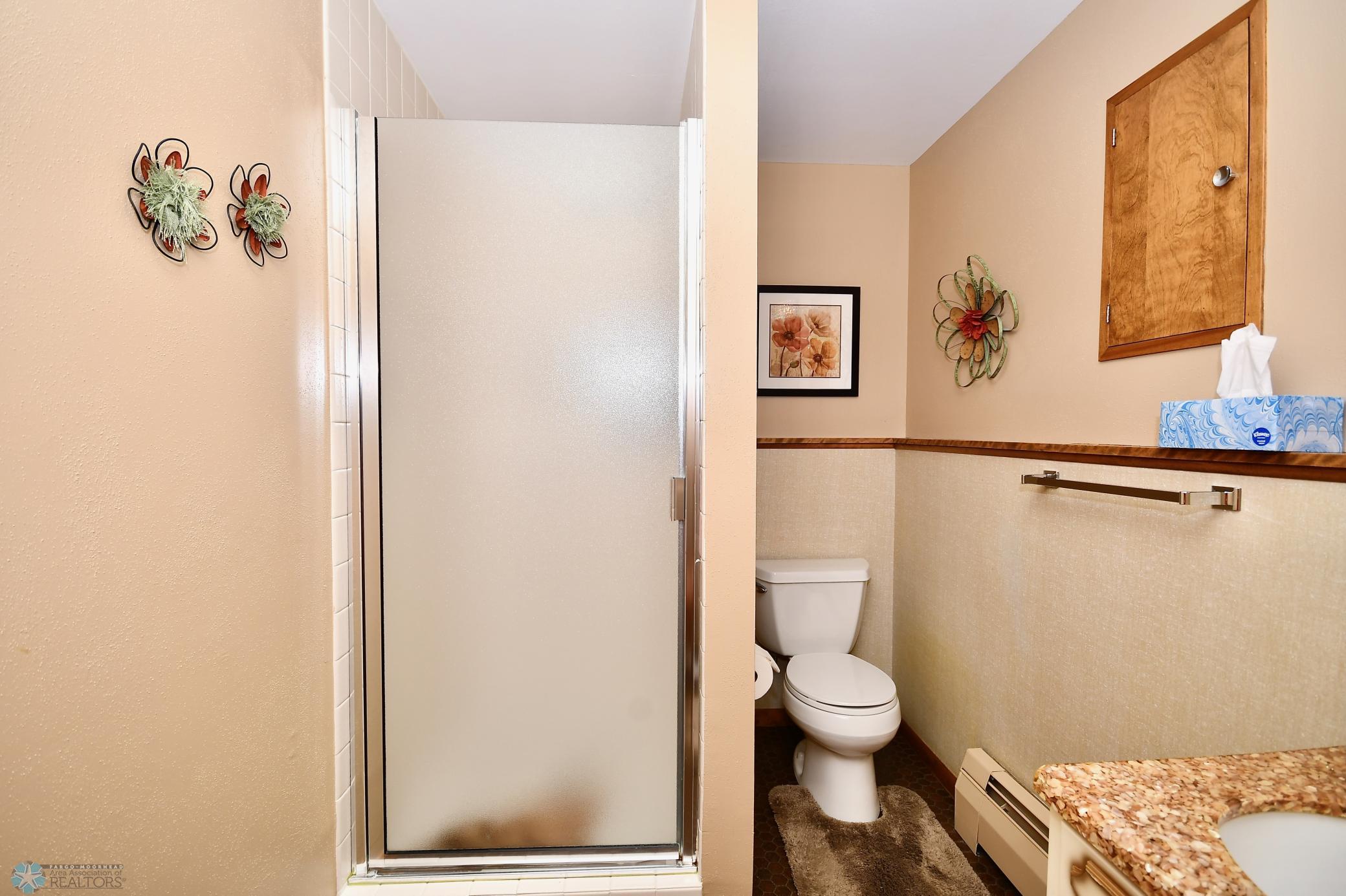 Lower Level Bathroom
