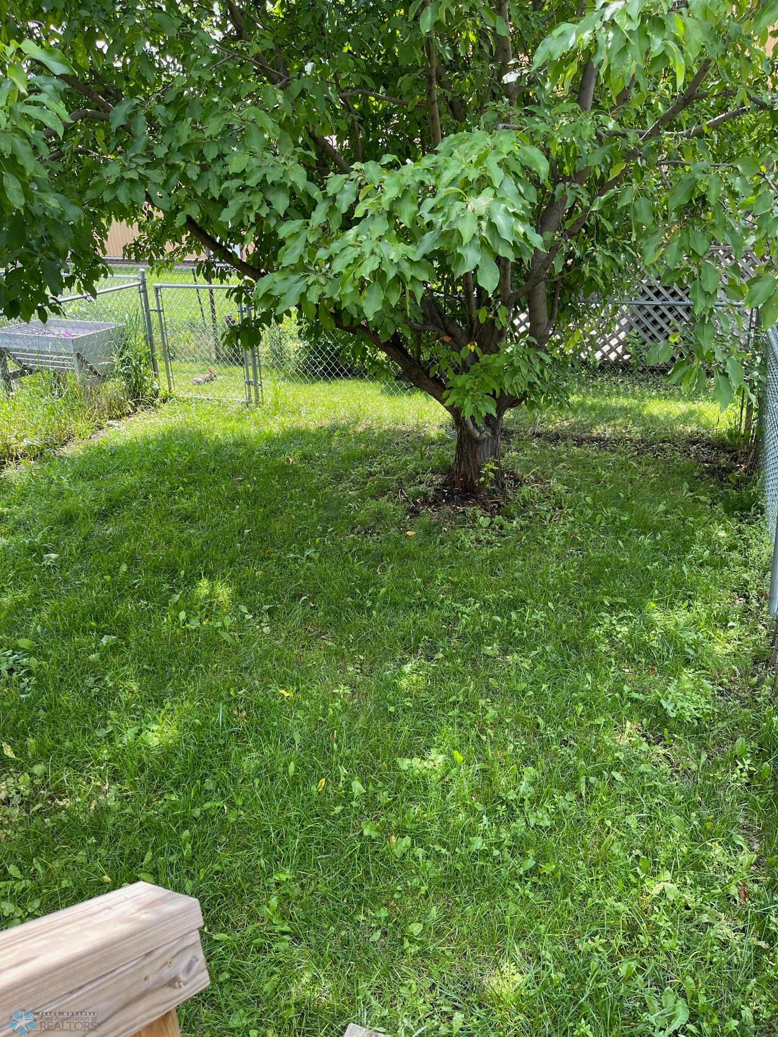 fenced back yard