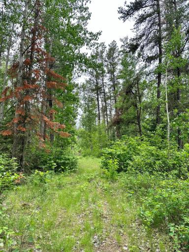 TBD 1st Street NW, Menahga, MN 56464