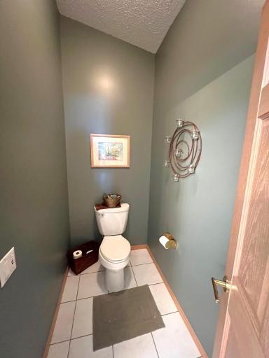 11333 N Shore Drive, Spicer, MN 56288