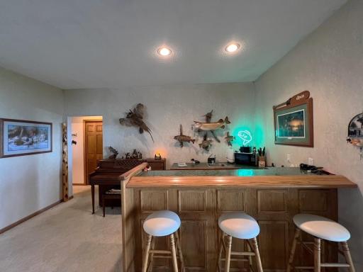 11333 N Shore Drive, Spicer, MN 56288