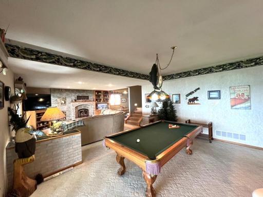 11333 N Shore Drive, Spicer, MN 56288