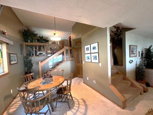 11333 N Shore Drive, Spicer, MN 56288